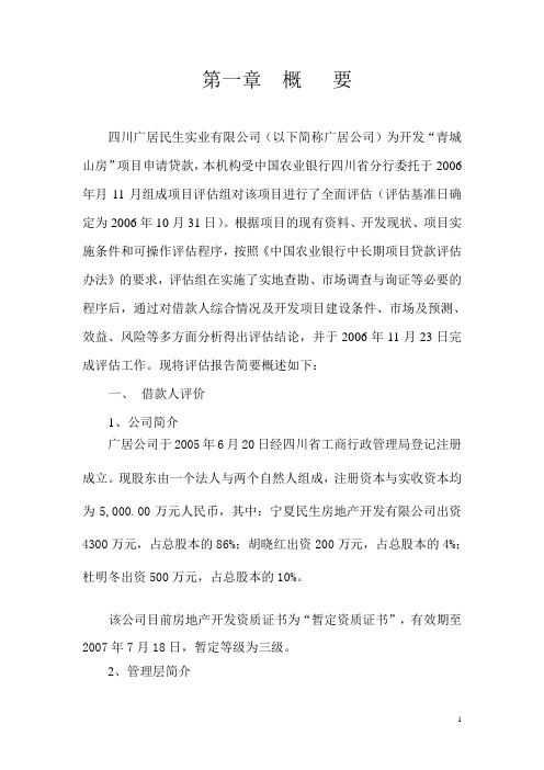 贷款项目评估报告----模板