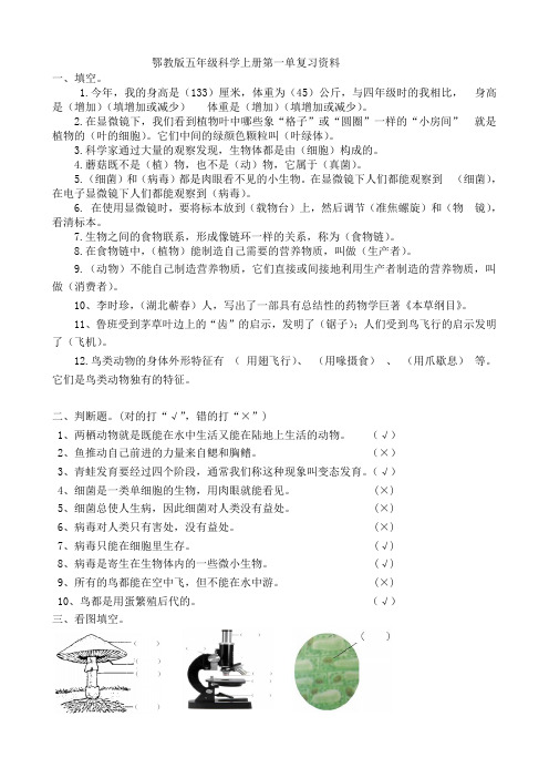 鄂教版五年级科学上册第一单元复习要点