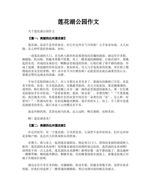 莲花湖公园作文