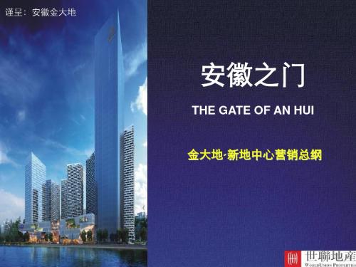 2011年安徽合肥市金大地新地中心营销总纲