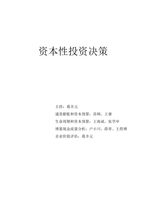 资本性投资决策——提交