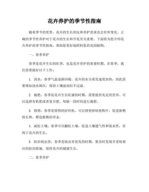 花卉养护的季节性指南