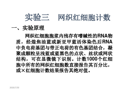 网织红细胞计数