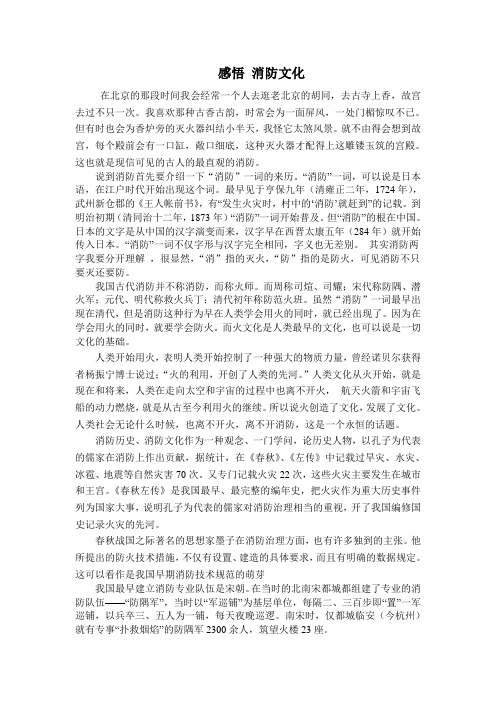 浅谈消防文化