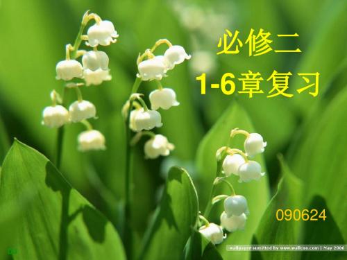 生物必修二-1-6章复习课件