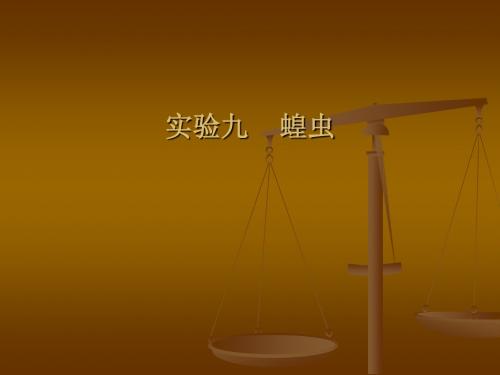 8无脊椎动物学实验8 Microsoft PowerPoint 演示文稿