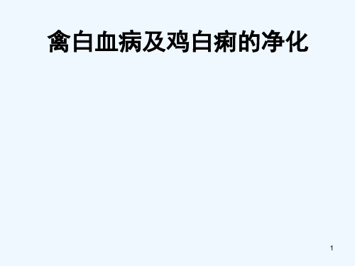 禽白血病及鸡白痢净化