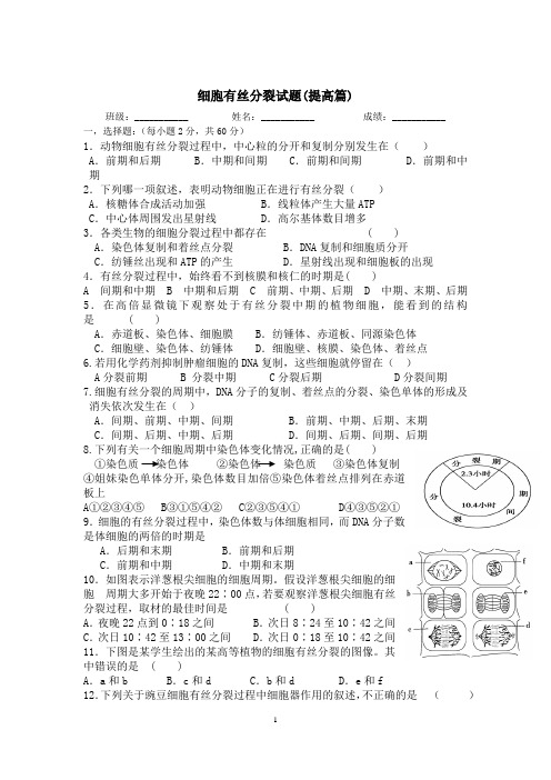 细胞有丝分裂专题(提高篇 含答案)