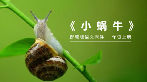 《小蜗牛》优质一年级上册语文PPT课件