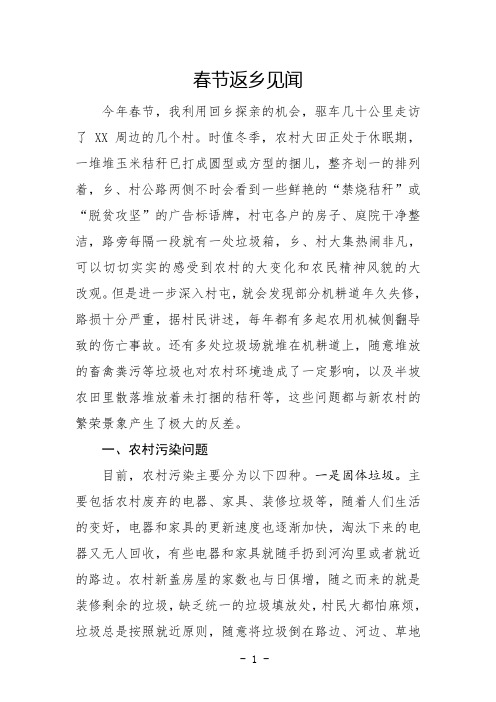 公文写作范文——春节返乡见闻