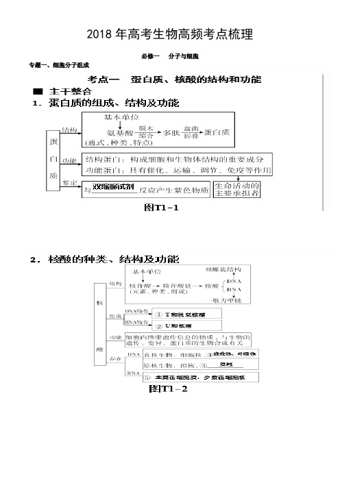 2018年高考生物高频考点梳理