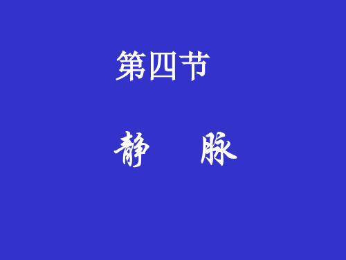 静脉(系统解剖学)