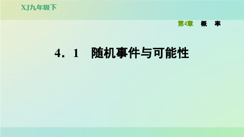九年级数学下册习题课件-4.1随机事件与可能性-湘教版