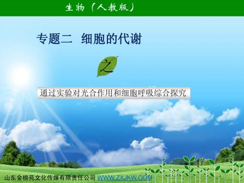 高三生物专题二   (3)光合、呼吸过程