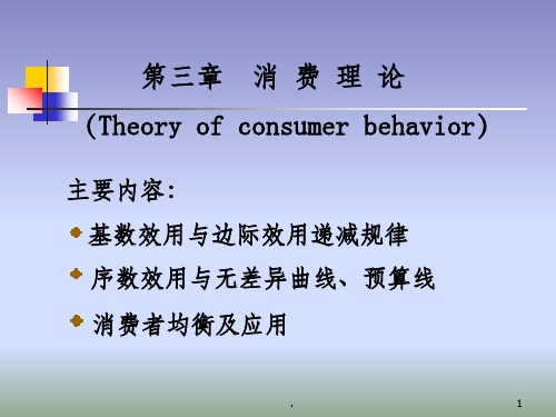 微观经济学,完整第4章20090928ppt课件