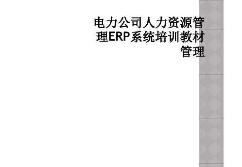 电力公司人力资源管理ERP系统培训教材管理