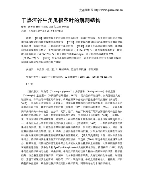 干热河谷牛角瓜根茎叶的解剖结构