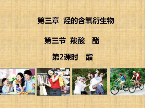 酯课件2