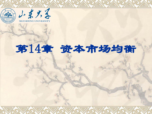 第14章 资本市场均衡 2020