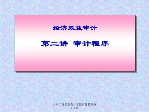 经济效益审计第二讲(审计程序)