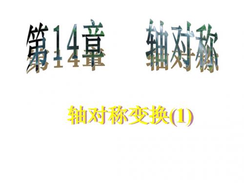 轴对称变换1