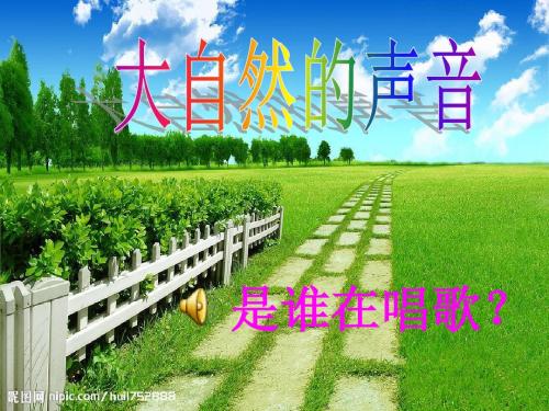 森林的歌声正式课件