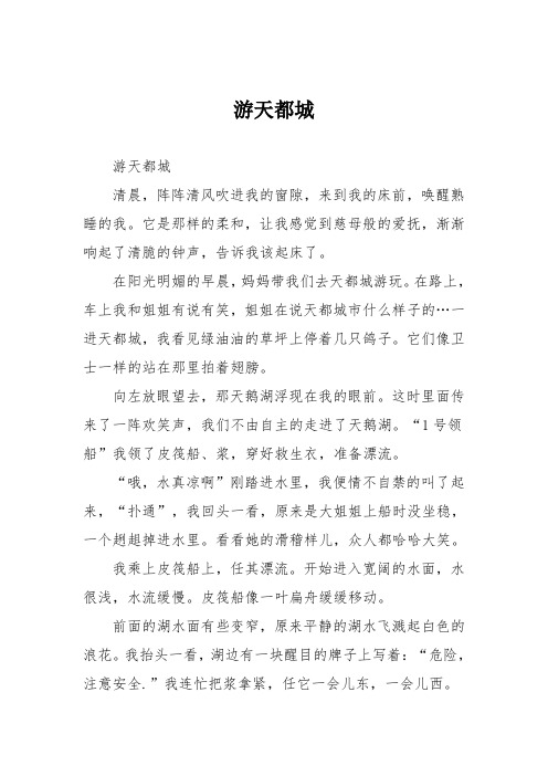 小学记叙文作文：游天都城51
