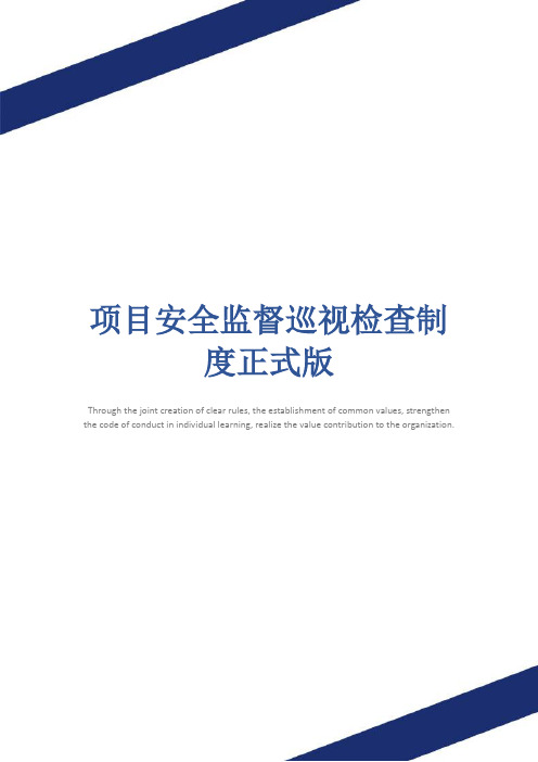 项目安全监督巡视检查制度正式版