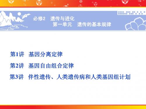 遗传的基本规律