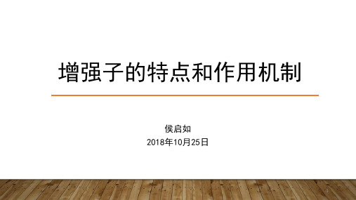 增强子的特点及其作用机制ppt课件