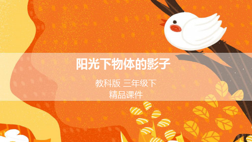 教科版小学三年级科学下册 《阳光下物体的影子》精品课件3