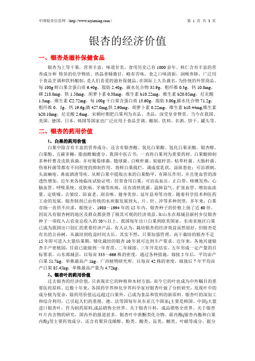 银杏的经济价值