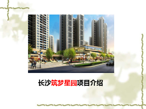 筑梦星园项目介绍