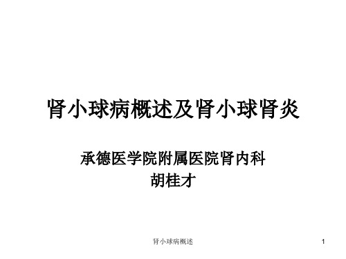 肾小球病概述课件
