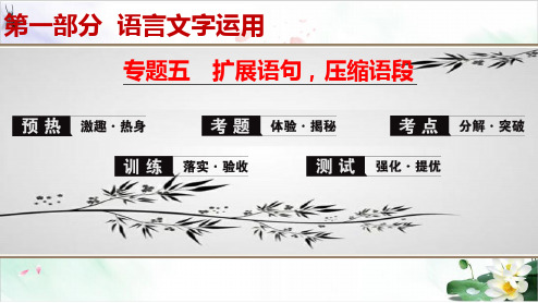 高考一轮复习语文精讲课件专题扩展语句,压缩语段