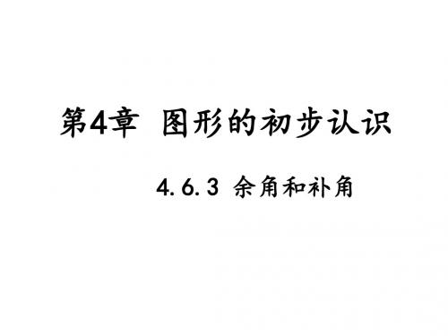 华师大版数学七年级上册课件 第4章4.6.3余角和补角 (共15张PPT)