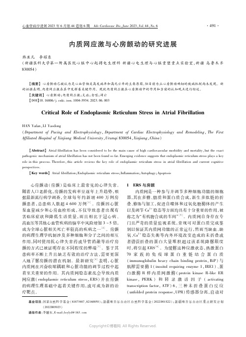 内质网应激与心房颤动的研究进展