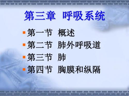 正常人体解剖学-呼吸系统ppt课件