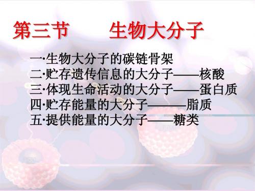 第三章 生物大分子 碳链骨架