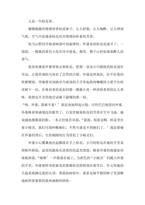 中小学作文又是一年桂花香作文800字