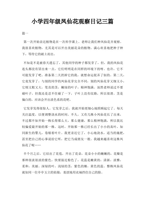 小学四年级凤仙花观察日记三篇