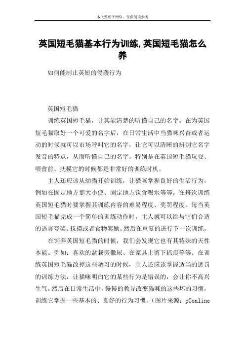 英国短毛猫基本行为训练,英国短毛猫怎么养