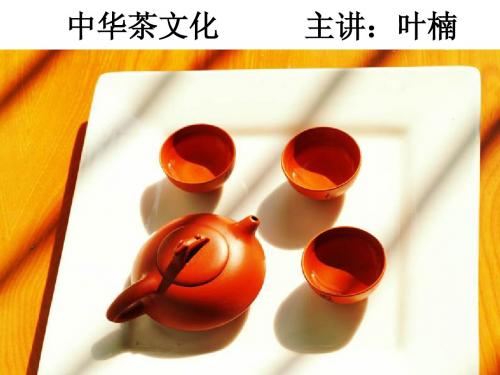 第六讲 温暖的乌龙茶