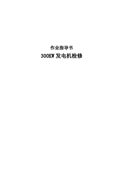 300KW发电机检修作业指导书
