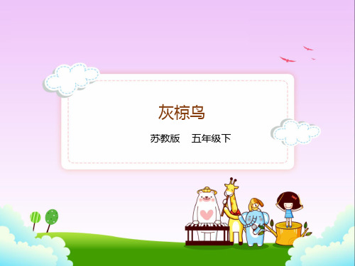 苏教版五年级下册语文26.灰椋鸟课件