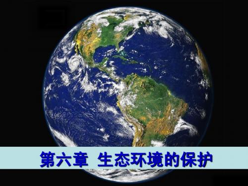 人教版教学课件广东省汕头市澄海中学高二生物61人口增长对生态环境的影响课件