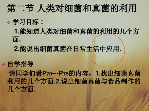 最新-八年级生物上册 第五章第二节人类对细菌真菌的利用课件 人教新课标版 精品 