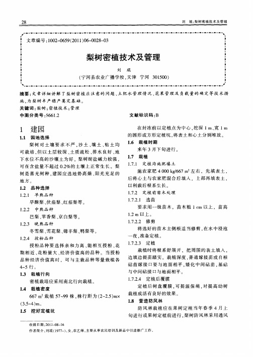 梨树密植技术及管理