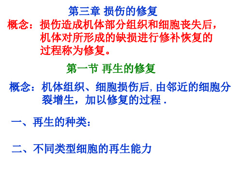 组织的修复