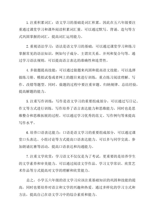 小学五六年级语文学习技巧